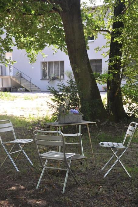 Gite St Nicolas Ancien Corps De Ferme Horticole Freyming-Merlebach Екстериор снимка